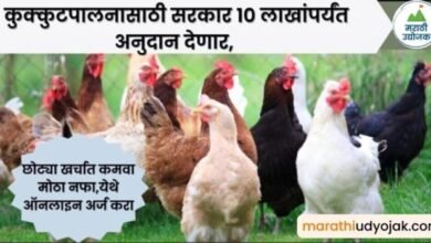 Poultry Farm Loan Online 2024